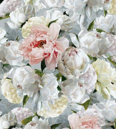 Designers Guild Peonia Grande Zinc tapéta