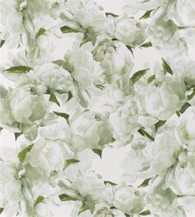 Designers Guild Peonia Chartreuse tapéta