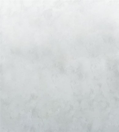 Designers Guild Tourangelle Ombre Zinc tapéta