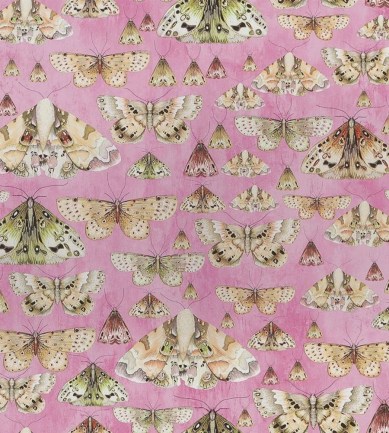 Designers Guild Issoria Rose tapéta - Paisley Home