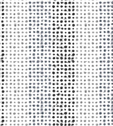 Designers Guild Amlapura Outdoor Graphite textil - Paisley Home