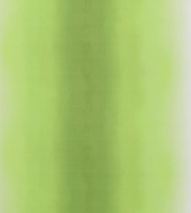 Designers Guild Padua Outdoor Grass textil - Paisley Home