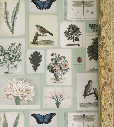 Paisley Home - Designers Guild tapéták teljes választéka