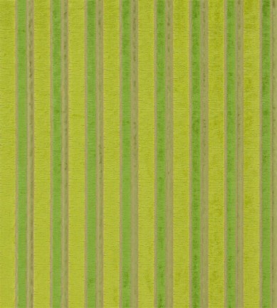 Designers Guild Piomba Grass textil - Paisley Home