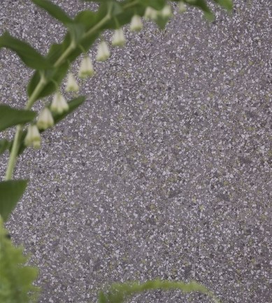 Designers Guild Pavonazzo Pale Jade tapéta - Paisley Home