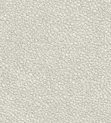 Elitis Galuchat VP42120 tapéta - Paisley Home