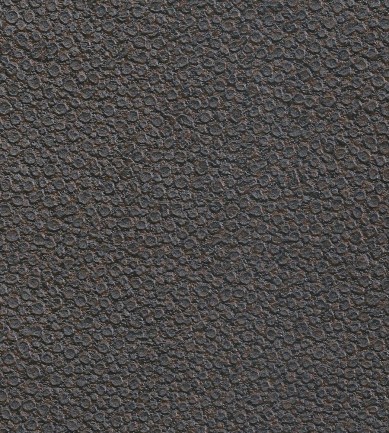 Elitis Galuchat VP42127 tapéta - Paisley Home