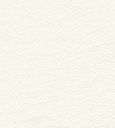 Elitis Conquistador vp 690 01 tapéta - Paisley Home