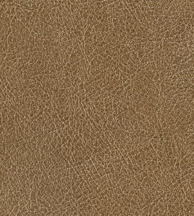 Elitis Conquistador vp 690 07 tapéta - Paisley Home