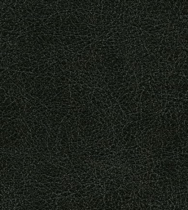Elitis Conquistador vp 690 09 tapéta - Paisley Home
