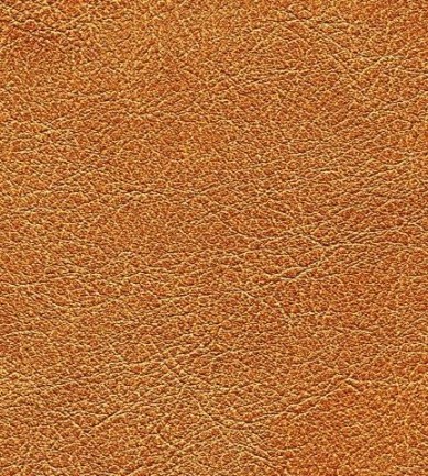 Elitis Conquistador vp 690 10 tapéta - Paisley Home