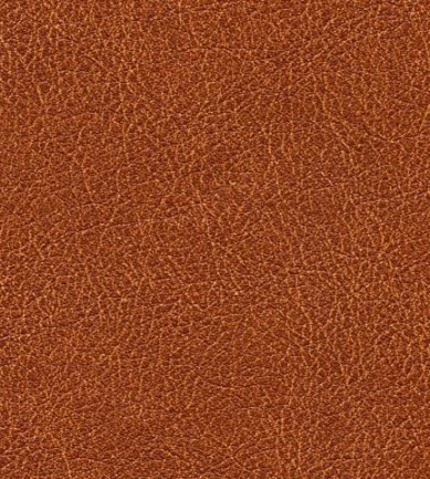 Elitis Conquistador vp 690 11 tapéta - Paisley Home