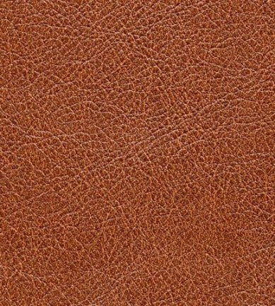 Elitis Conquistador vp 690 12 tapéta - Paisley Home