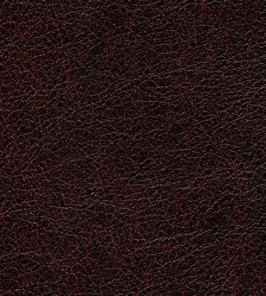 Elitis Conquistador vp 690 13 tapéta - Paisley Home