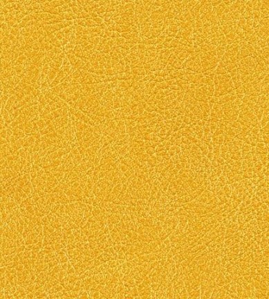 Elitis Conquistador vp 690 14 tapéta - Paisley Home