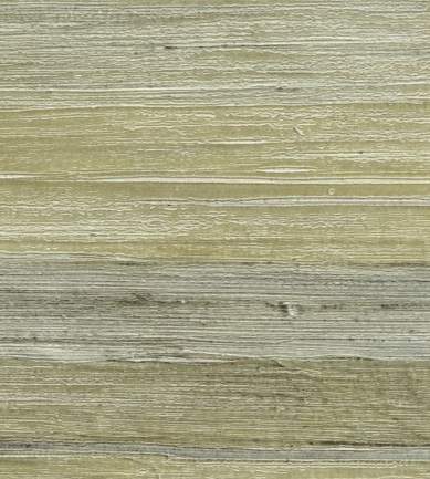 Elitis Isola VP88508 tapéta - Paisley Home