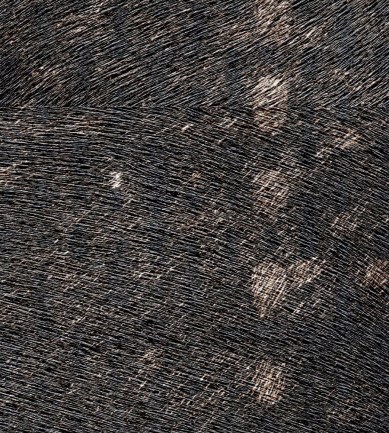 Elitis Balmoral VP61501 tapéta - Paisley Home