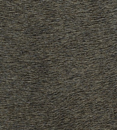 Elitis Movida VP62539 tapéta - Paisley Home