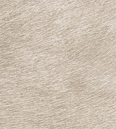 Elitis Movida VP62540 tapéta - Paisley Home