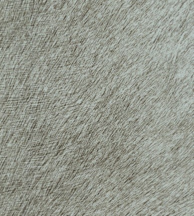 Elitis Movida VP62541 tapéta - Paisley Home