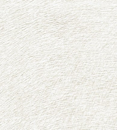 Elitis Movida VP62546 tapéta - Paisley Home
