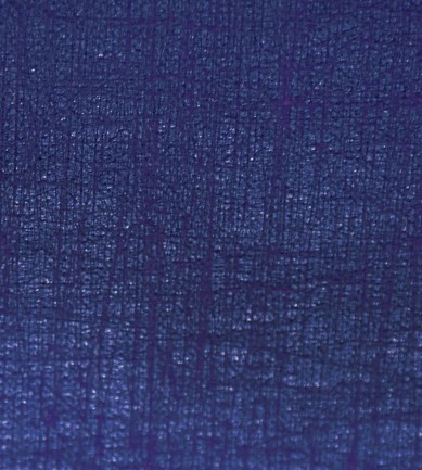 Elitis Vega RM61348 tapéta - Paisley Home