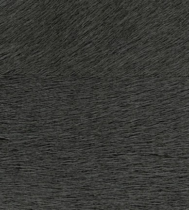 Elitis Movida VP62506 tapéta - Paisley Home