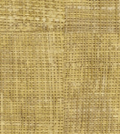 Elitis Raffia VP60120 tapéta - Paisley Home