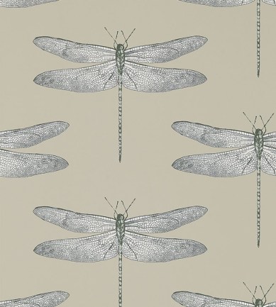 Harlequin Demoiselle 111241 tapéta - Paisley Home