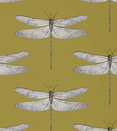 Harlequin Demoiselle 111244 tapéta - Paisley Home