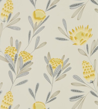 Harlequin Cayo Ochre/Linen tapéta - Paisley Home