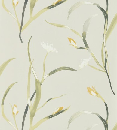 Harlequin Saona Ochre/Linen tapéta - Paisley Home