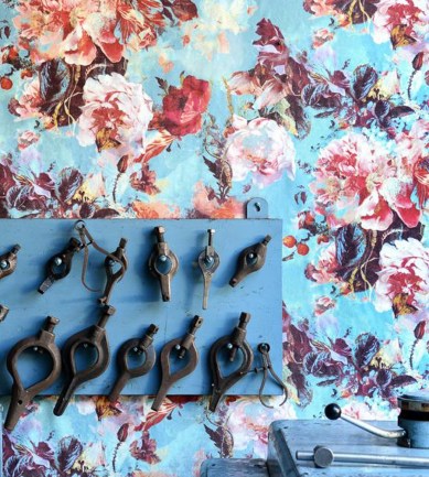 Jean Paul Gaultier Flamboyant Bleuet tapéta - Paisley Home