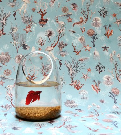 Paisley Home - Jean Paul Gaultier tapéták teljes választéka