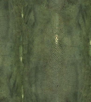 Jean Paul Gaultier Precieux Vert tapéta