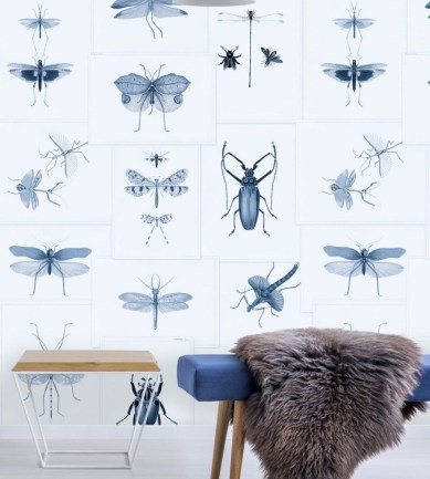 MINDTHEGAP Entomology Blue design tapéta - Paisley Home