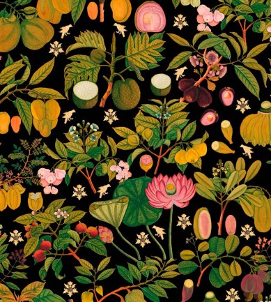 Mind The Gap Asian Fruits And Flowers Anthracite tapéta