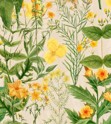 Mind The Gap Mimulus Green tapéta