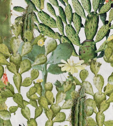 MINDTHEGAP Opuntia design tapéta - Paisley Home