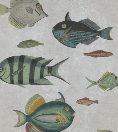 MINDTHEGAP Poissons Grey design tapéta - Paisley Home