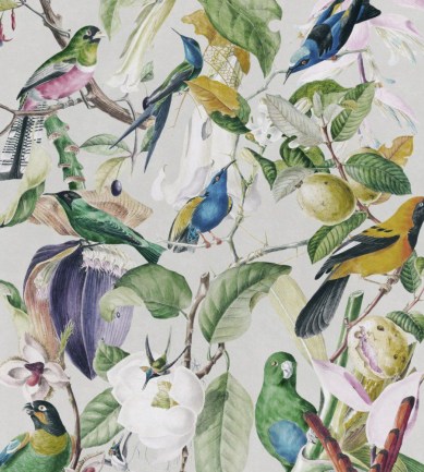 Mind the Gap Tropical Birds design tapéta - Paisley Home