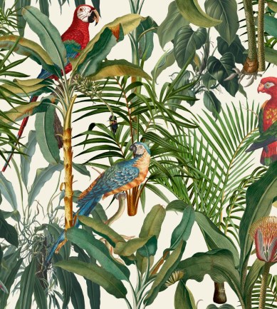 Mind The Gap Parrots Of Brasil WP20521 tapéta