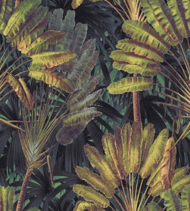 Mind The Gap Traveller's Palm WP20526 tapéta