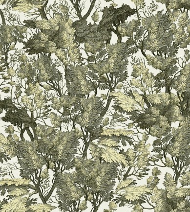Mind The Gap Tree Foliage WP20481 tapéta