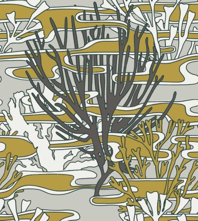 Nobilis Coringa COS250 tapéta