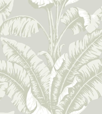 Nobilis La Havane COS84 tapéta