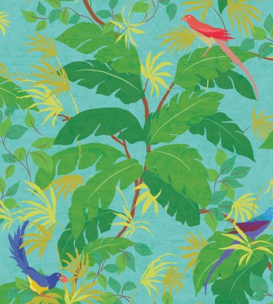 Nobilis Sur Un Arbre Perche COS201 tapéta