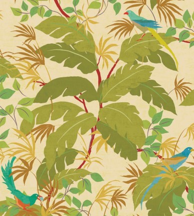 Nobilis Sur Un Arbre Perche COS203 tapéta