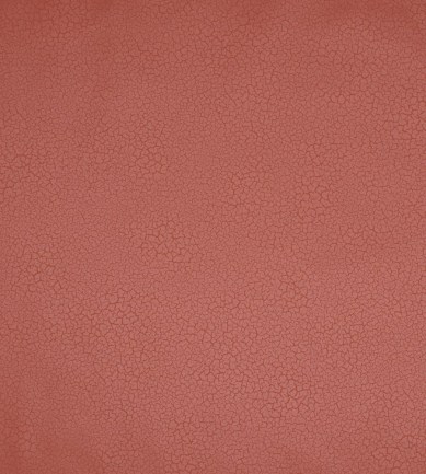 Nobilis Raku EDM14 tapéta