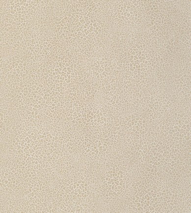 Nobilis Raku EDM21 tapéta